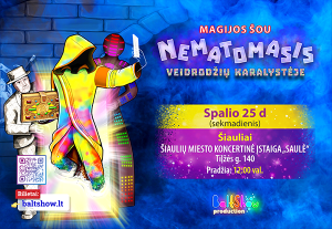 „NEMATOMASIS VEIDRODŽIŲ KARALYSTĖJE“ – interaktyvus šeimos šou ŠIAULIUOSE